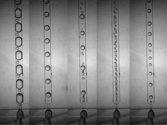  ◳ Untitled (1) (gif) → (originál)