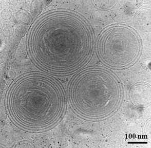  ◳ nio (png) → (originál)