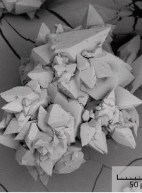 Solid-state pharmaceuticals