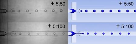  ◳ cfd-mikrofluidika (jpg) → (šířka 450px)