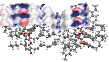  ◳ cbg-eliska (png) → (šířka 450px)
