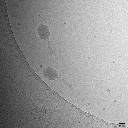  ◳ kp33 (png) → (šířka 450px)