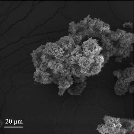  ◳ enzalutamide (png) → (šířka 450px)